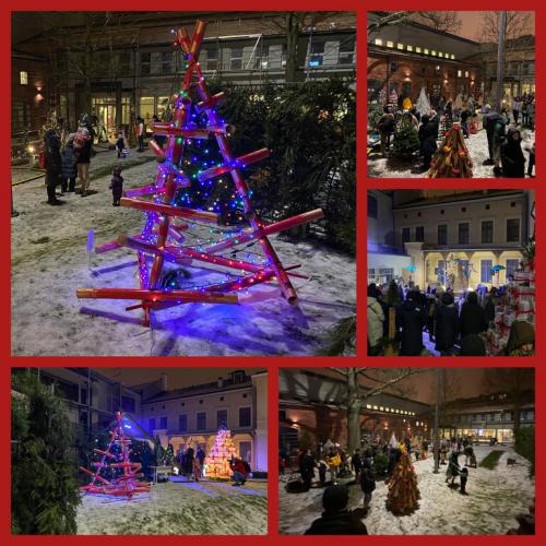2022-12-08-Kalediniu-egluciu-kiemelis-3