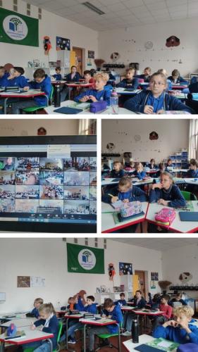2023-11-15-Zaliasis-rastingumas-3