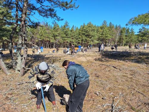 2025-04-14-Puseliu-sodinimo-akcija-05